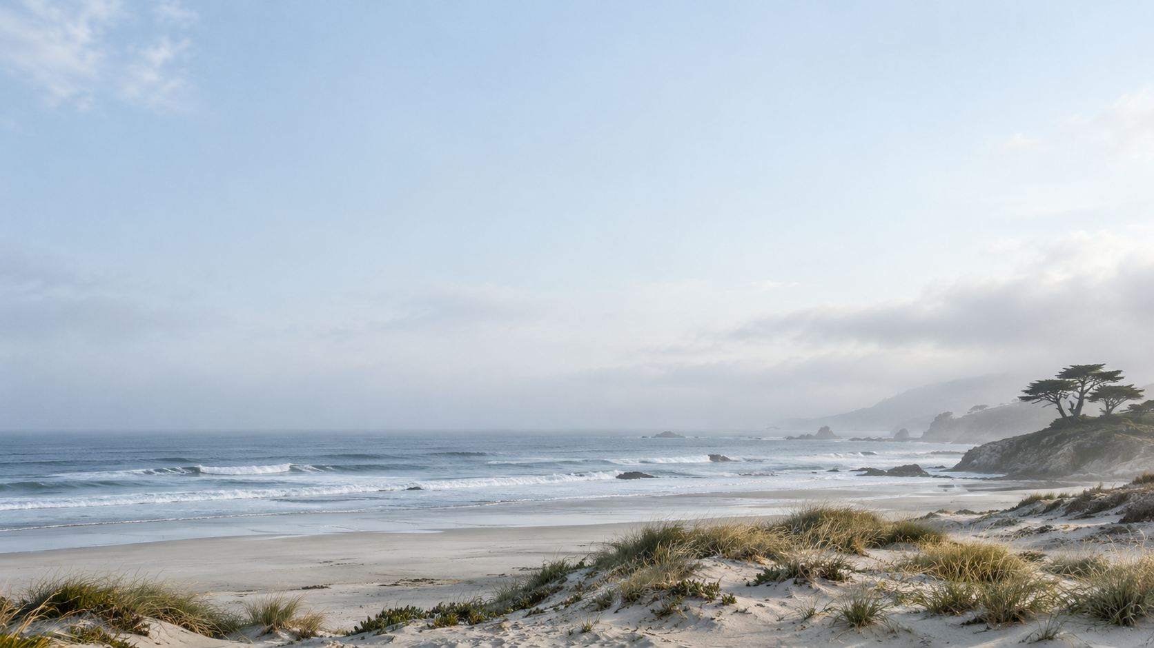 A quiet coastline with ocean, sand and cypress trees